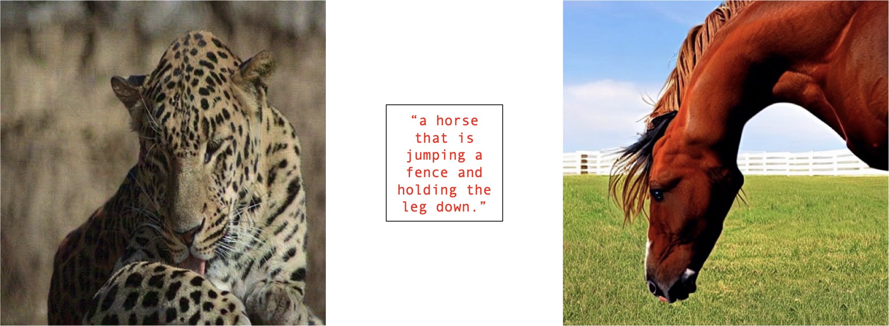 Adversarial Example 10