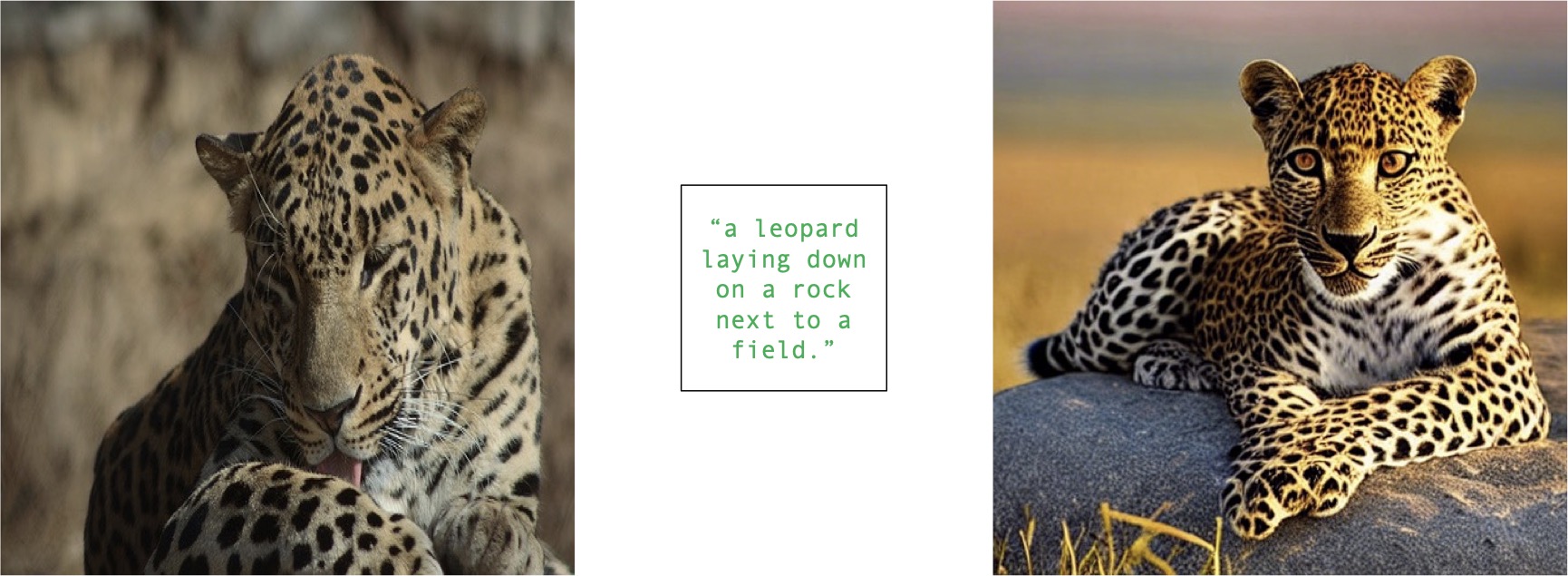 Clean Example - Leopard