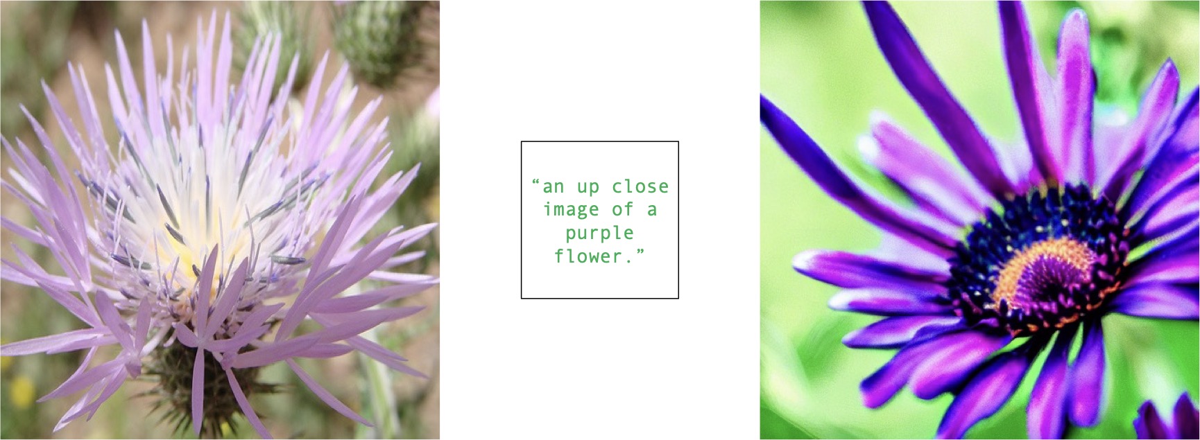 Clean Example - Flower